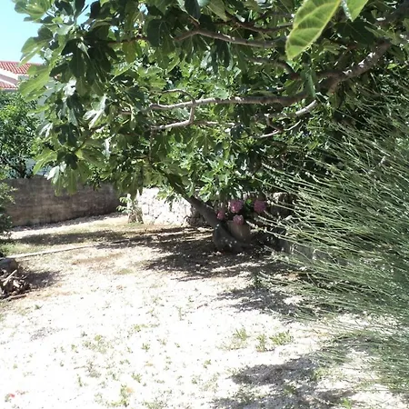 With Parking Space - Blato, Makarska - 23922 * Zivogosce